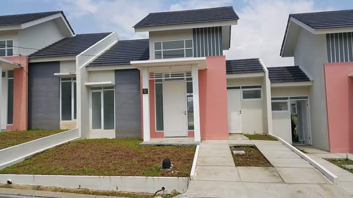 Magnolia 2A Hoek 42/236