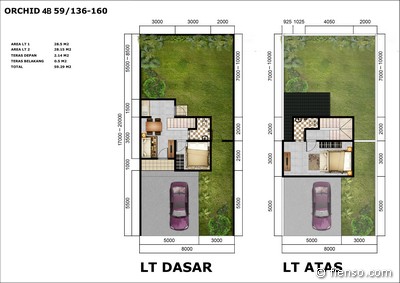 Orchid CitraIndah Orchid CitraIndah