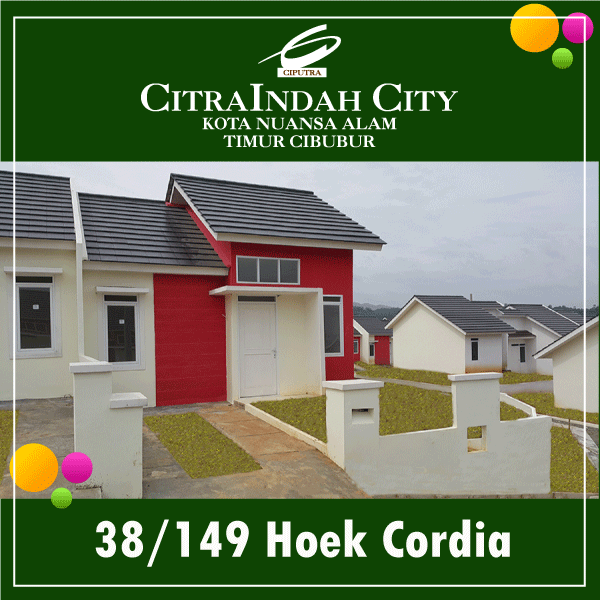 38/149 hoek Cordia