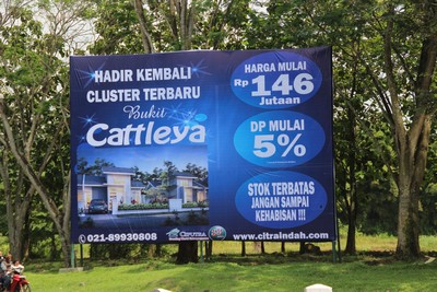 Cattleya, citra indah