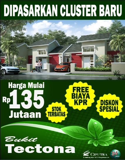 tectona, citr indah